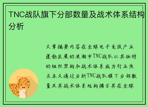 TNC战队旗下分部数量及战术体系结构分析
