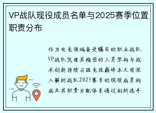 VP战队现役成员名单与2025赛季位置职责分布