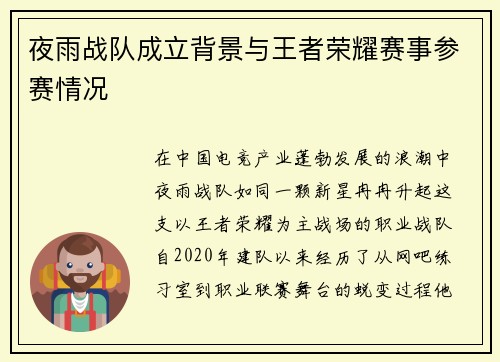夜雨战队成立背景与王者荣耀赛事参赛情况
